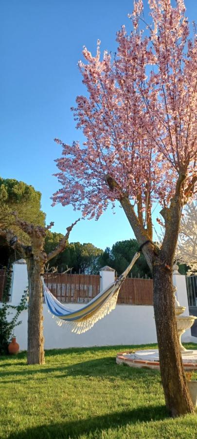 La Espiga Villa Valladolid Kültér fotó