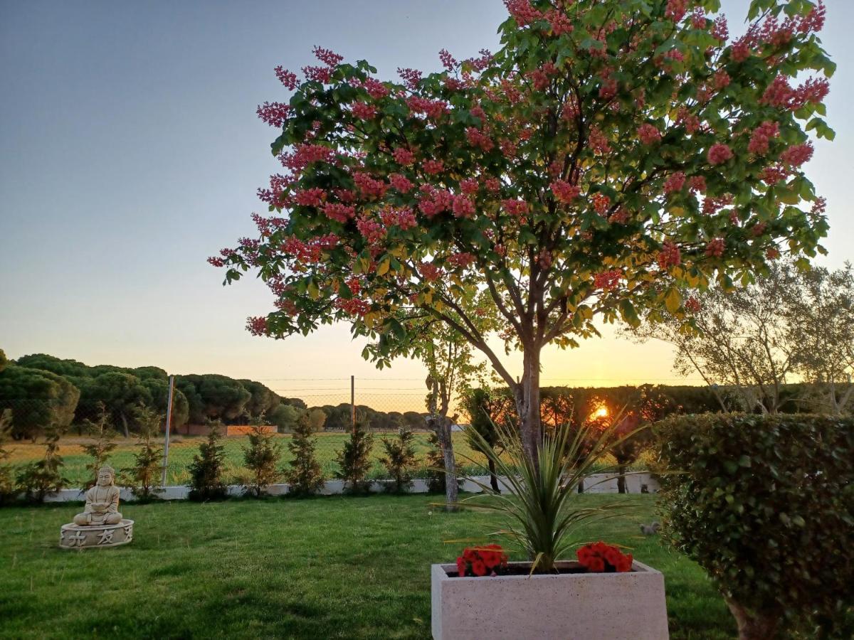 La Espiga Villa Valladolid Kültér fotó