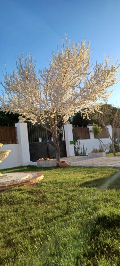 La Espiga Villa Valladolid Kültér fotó